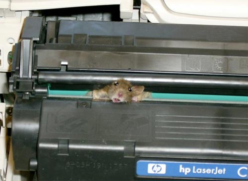 mouse_hp_laserjet.jpg