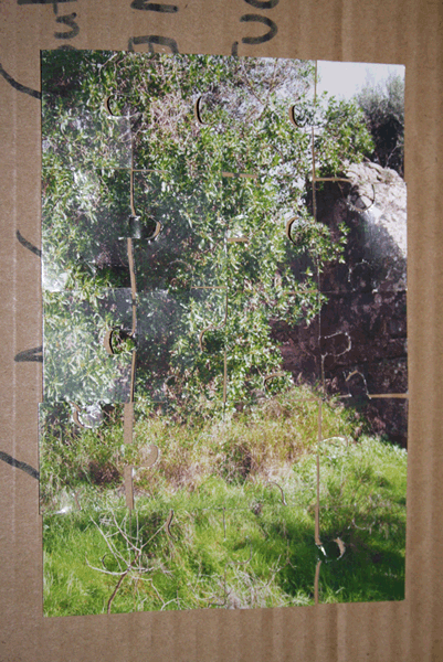 IMG_0085.gif